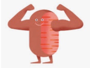 Cells and CBD