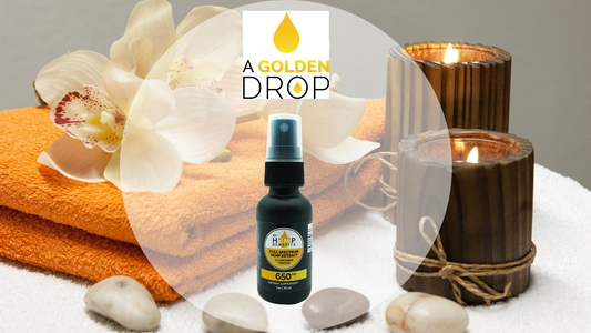 A Guide To Use CBD Oil