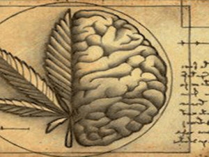 U.S. Patent #6,630,507