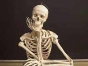 CBD Oil for your bones? Yup!